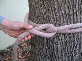 9386-DSCF0552 (2).webp