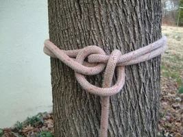 9387-DSCF0553 (2).webp