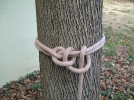 9388-DSCF0554 (2).webp