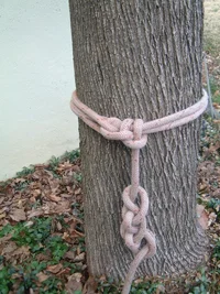 9390-DSCF0555 (2).webp