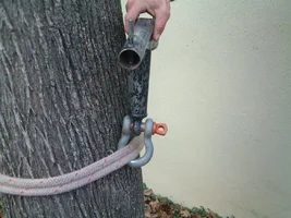 9391-DSCF0556 (2).webp