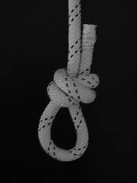 9587-double overhand noose 2.webp