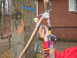 9605-SADbRT 002.webp