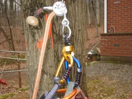 9607-SADbRT 003.webp