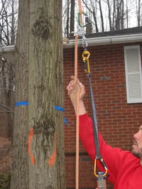 9611-SADbRT 005.webp