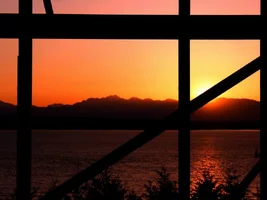 9646-Spring 046w.webp