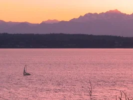 9656-Spring 052w.webp