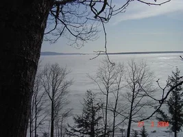 9660-white oak2.webp