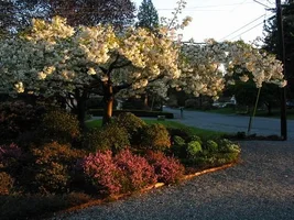 9782-Spring 013w.webp