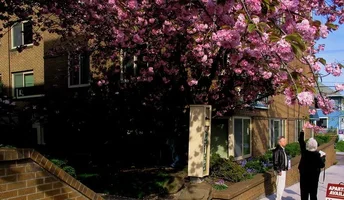 9783-Spring 069x.webp