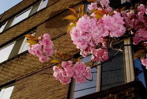 9784-Spring 080w.webp