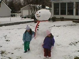 9803-treestuff 007.webp