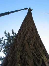 9844-April 9 028w.webp