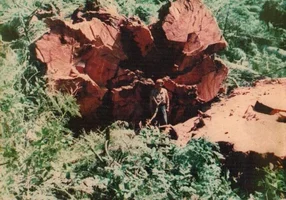 9976-Misc pics 002.webp