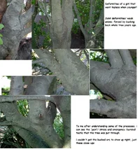 10270-Don't go Topless.webp