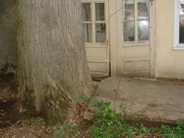 10306-crane,poplars 06.webp