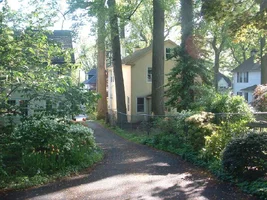 10310-crane,poplars 10.webp