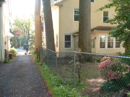 10311-crane,poplars 11.webp