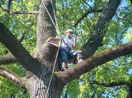 10315-crane,poplars 15.webp