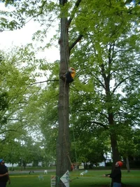 10350-DSCF0130 (2).webp