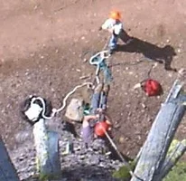 10433-1MtShasta-BlackFox 019b.webp