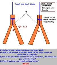 10499-From the Mind of Mayhem.webp