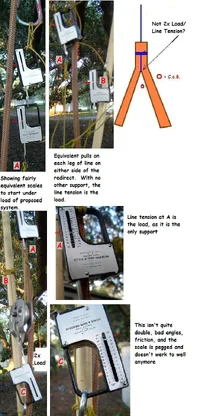 10501-Mayhem Fish Scale.webp