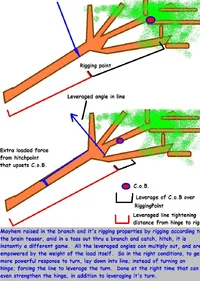 10506-Mayhem Applied- change CoB.webp