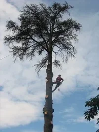 10635-italy 156.webp