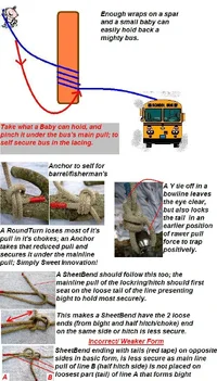 10727-Baby Holding a Bus.webp