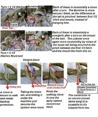 10728-Knot lacings Differances.webp