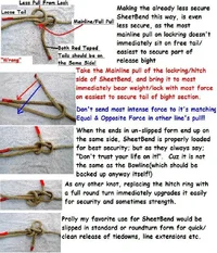 10729-Bowline to SheetBend 002.webp