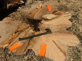 10887-dad's 042a.webp