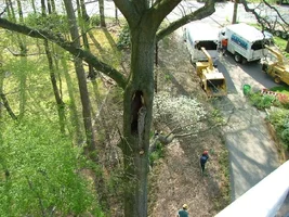 10909-dad's 023fix.webp