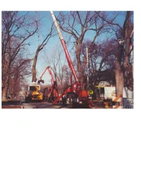 10965-crane removal 1.webp