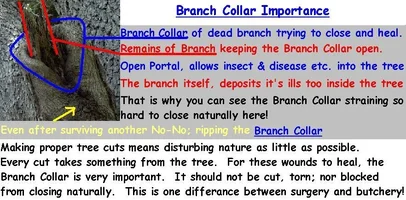 11171-Cant close un.webp