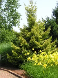 11269-Tower Hill 020.webp