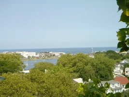 11610-sony pics 052a.webp