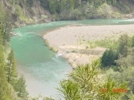 11875-treehouse 049a.webp