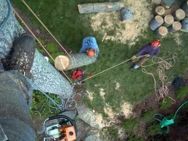 12265-Buttcatch2 '04.webp