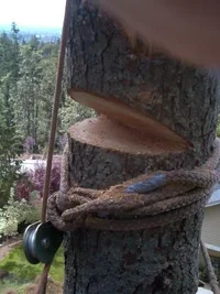 12267-Buttcatch3 '04.webp