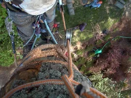 12268-Buttcatch4 '04.webp