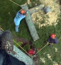 12269-Buttcatch5 '04.webp