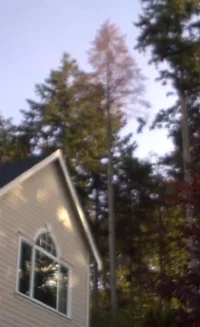 12276-Buttcatch6 '04.webp