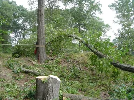 12369-Ft Dix Removals 008a.webp