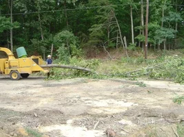 12372-Ft Dix Removals 013a.webp