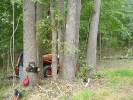 12373-Ft Dix Removals 015a.webp