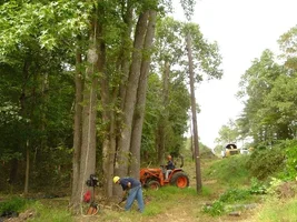 12374-Ft Dix Removals 016a.webp