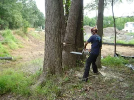 12375-Ft Dix Removals 020a.webp