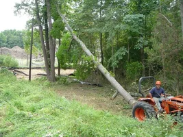 12376-Ft Dix Removals 023a.webp